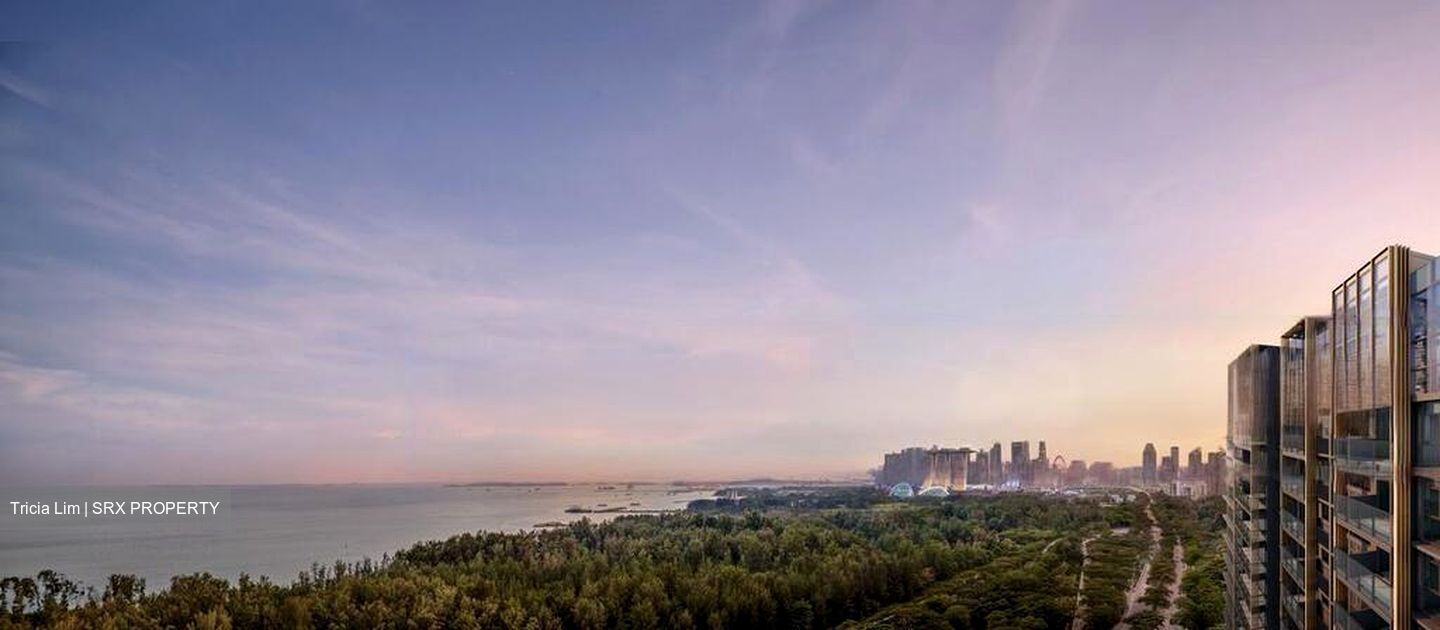 Meyer Road (D15), Condominium #496682251